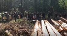 Straż leśna została zmuszona do interwencji [wideo]