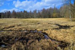 fot&#x2e;&#x20;M&#x2e;&#x20;Nakielski&#x20;&#x22;bobrowe&#x20;tunele&#x22;