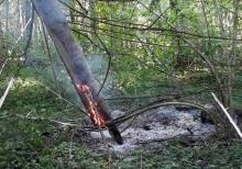 Pożar w leśnictwie Stoczek