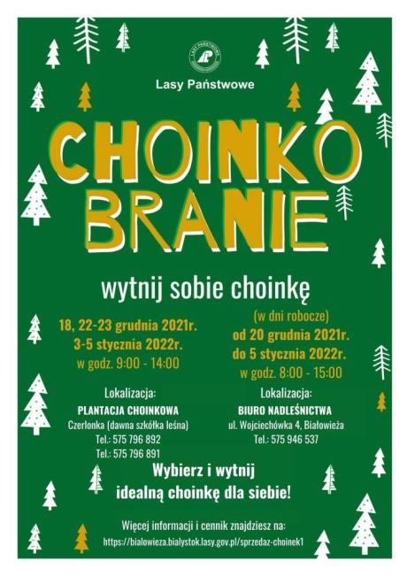 Choinko Branie