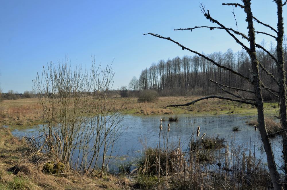 Fotografia&#x20;przedstawia&#x20;krajobraz&#x20;nad&#x20;rozlewiskiem&#x20;&#x28;Julia&#x20;Januszkiewicz&#x29;
