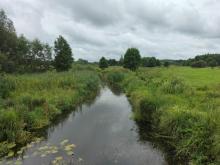 ŚREDNI STAN WODY NA RZECE NAREWCE W BIAŁOWIEŻY