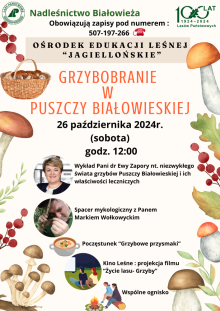 Grzybobranie w Puszczy Białowieskiej