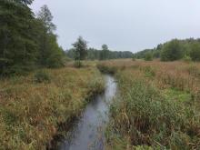 PODSUMOWANIE SYTUACJI HYDROLOGICZNEJ NA RZECE NAREWCE W BIAŁOWIEŻY W 2024 ROKU