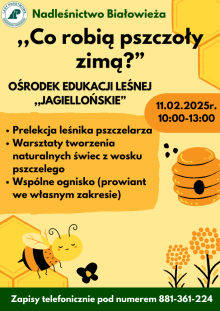 "CO ROBIĄ PSZCZOŁY ZIMĄ?"