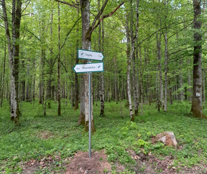 fot&#x2e;&#x20;Marcin&#x20;Szpakowicz