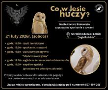 Co w lesie huczy?
