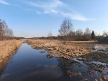 AKTUALNA SYTUACJA HYDROLOGICZNA W PUSZCZY BIAŁOWIESKIEJ